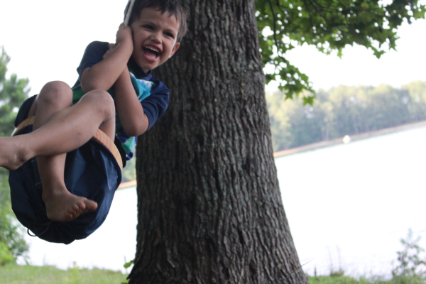 Round Tree Swing